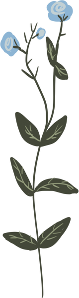 Blue flower