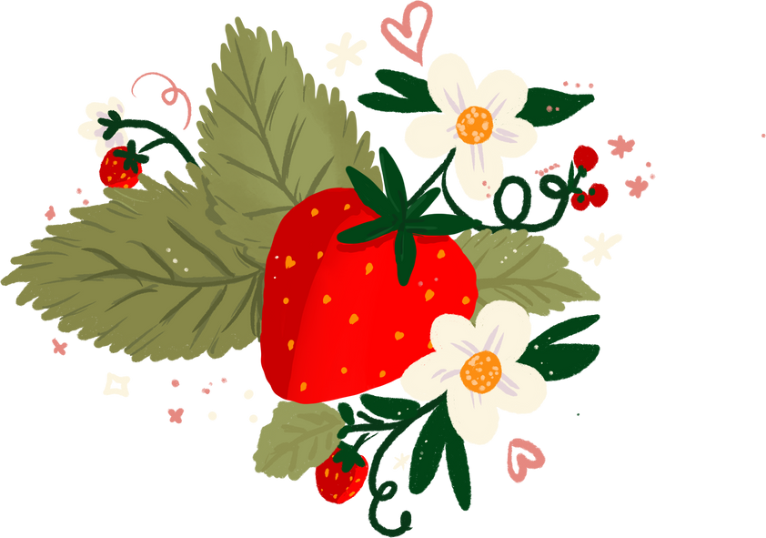 Strawberry illustration