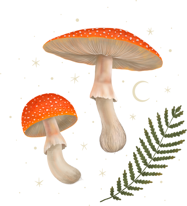forest mushroom illustration on dark background. fly agaric and grebe. magical elements. ideal for printing on a calendar, fabric, postcard and design