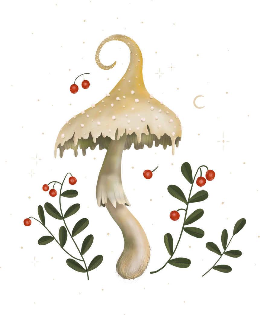 forest mushroom illustration on dark background. fly agaric and grebe. magical elements. ideal for printing on a calendar, fabric, postcard and design