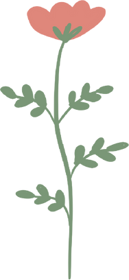 Pink flower